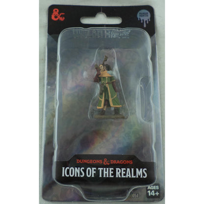Image of Female Human Druid Icons of the Realms Premium Painted Fantasy Miniature 93054