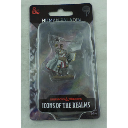 Image of Human Male Paladin Icons of the Realms Premium Painted Fantasy Miniature 93058