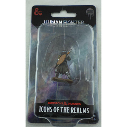 Image of Human Male Fighter Icons of the Realms Premium Painted Fantasy Miniature 93059