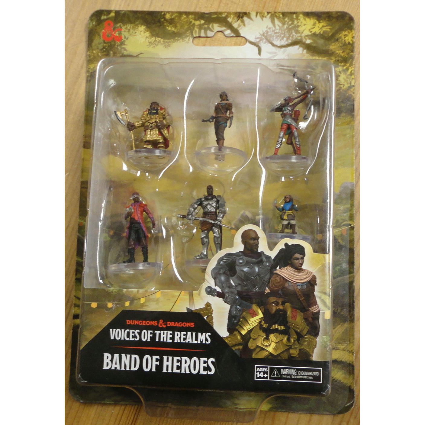 Image of Dungeons & Dragons Voice of the Realms Band of Heroes Painted Miniatures