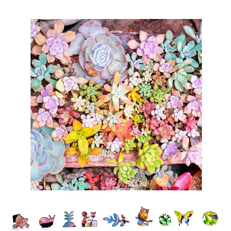 Image of Garden Succulents Wooden Puzzles, 1000 Pcs