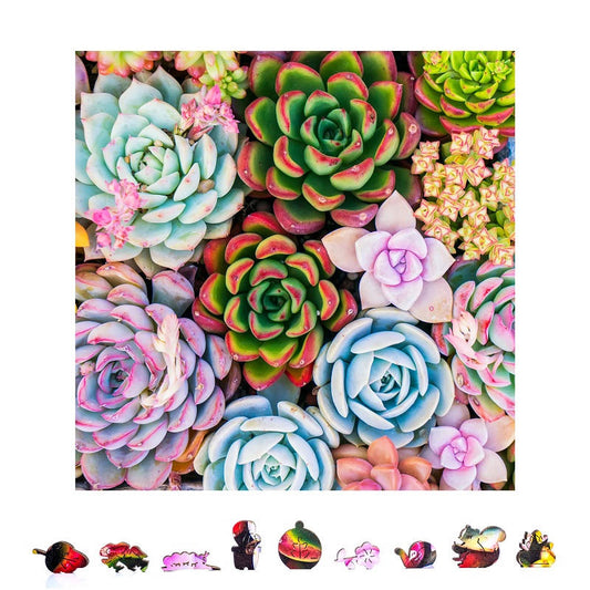 Image of Succulent Sensation Wooden Puzzle, 500 Pcs