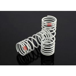 Springs Slash 4x4 Fr -20% Rate Org (2))