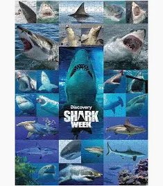 7-25-22SHARK WEEK (1000PC PUZZLE)